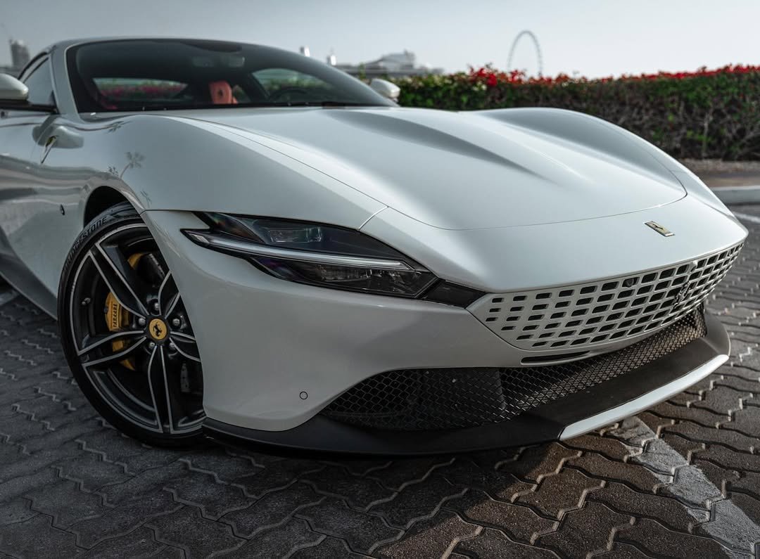 downloadgram.org_335518653_581900180542367_5879025135010078306_n downloadgram.org_335518653_581900180542367_5879025135010078306_n